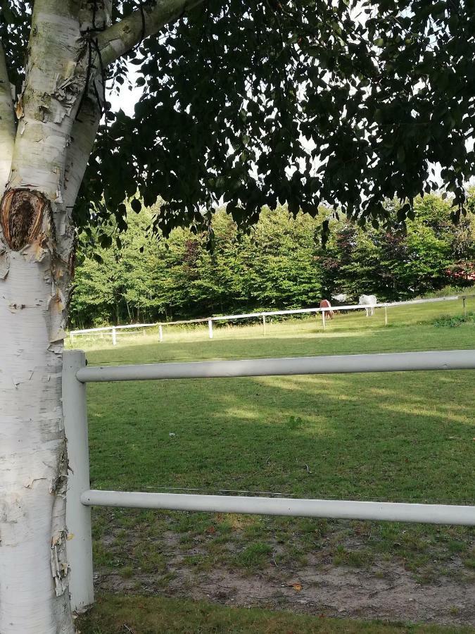 Апартаменты Tankefuld Living'S Horsefarm Свендборг Экстерьер фото